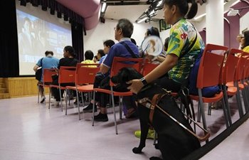 Free Audio-Described Movies Presented to Visually Impaired P