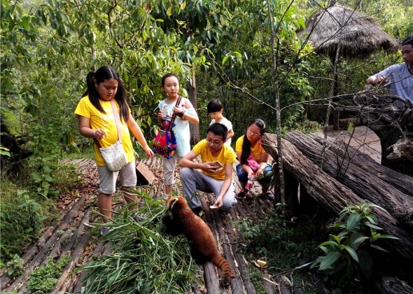 'Forest Schools' Help Nature Education Branch Out
